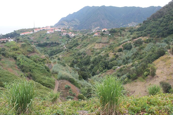 Referta - Castelejo Walk - Getting started in Funchal: pickup, meeting point, and a simple rhythm