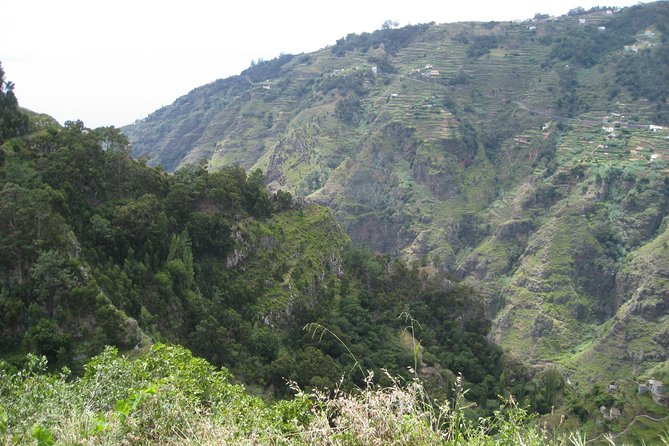 Walking Experience in the Serra D'Água Valley - Serra d’Água’s levada walk: a manageable hike with real payoffs