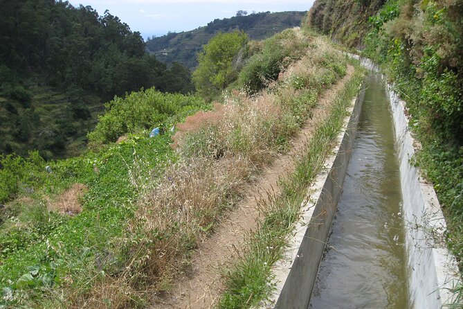 Walking Experience in the Serra D'Água Valley - Getting there in comfort: pickup, air-conditioned vehicle, and the start point